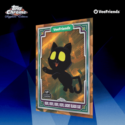 Collect Black Cat GIF by VeeFriends