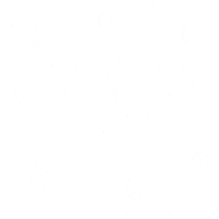 Christmas Snow Sticker by Neon Coco