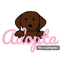 Adopta Petlove Sticker by petinnmexico