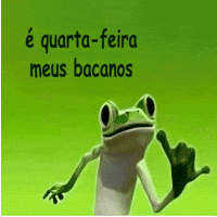 Quarta Feira GIF