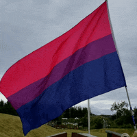 Pride Flag GIF by AceArchive