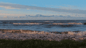perfect loop GIF by Living Stills