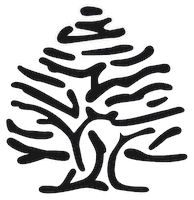 Logo Pride Sticker by Springfield