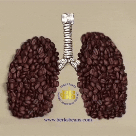 Coffee Lover Inhale GIF by Berk's Beans Coffee