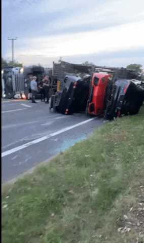 yj_jane giphyupload GIF