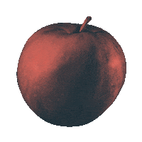 eva Sticker by PRIESTESS