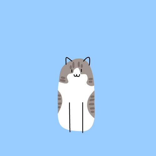 Cat GIF by CsaK
