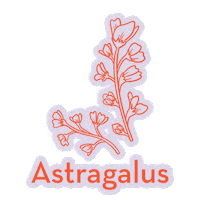 Herbs Stay Calm Sticker by Mab & Stoke