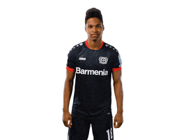 Happy Bayer 04 GIF by Bayer 04 Leverkusen