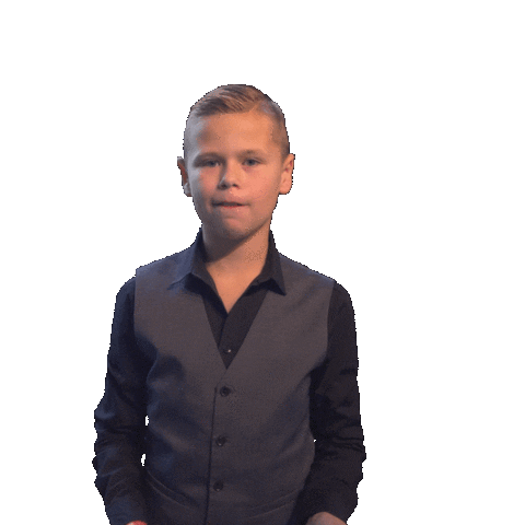 Sam Van Velthoven Sticker by Sterren NL