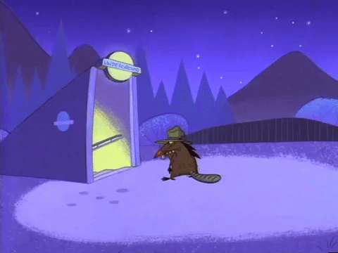 nickrewind giphydvr nicksplat angry beavers giphyab005 GIF