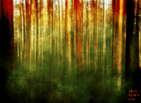 forest trees GIF by joelremygif