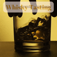 On The Rocks Cheers GIF by Oi