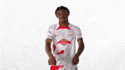 Football Soccer GIF by RB Leipzig