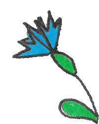 decotyw blue flower cornflower decotyw kociewie Sticker