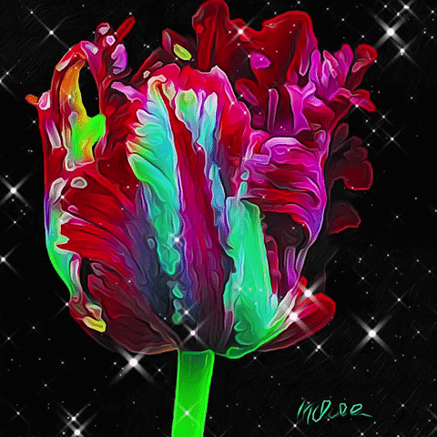 Flower Stars GIF by Maryanne Chisholm - MCArtist