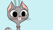 No Way What GIF by ZIP ZIP
