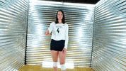 Toledo Volleyball GIF by Toledo Rockets