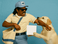 Post Office Dog GIF by Jukebox Saints