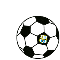 MezzolaraCalcio mezzolara calcio mezzolara pallone mezzolara pallone mezzolara calcio Sticker