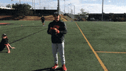 Ncaa GIF by Oregon State Baseball