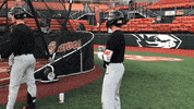 BeaverBaseball baseball ncaa oregon state GIF