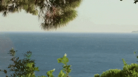 Travel Voyage GIF by Casol