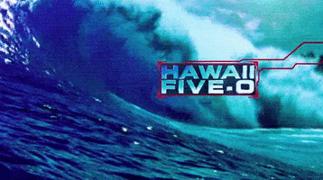 hawaii five o mceddie GIF by CBS