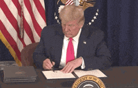 Donald Trump GIF by GIPHY News