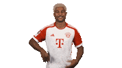 Happy Bayern Munich Sticker by Bundesliga