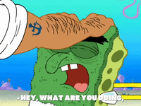 season 7 episode 20 GIF by SpongeBob SquarePants