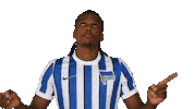 Home Swipe Up Sticker by Hertha BSC
