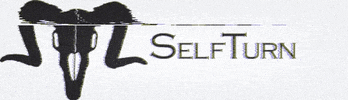 SelfTurn turn self aries selfturn GIF