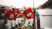 Badger Football Sport GIF by Wisconsin Badgers