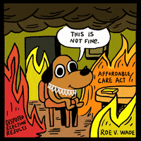 This Is Fine Supreme Court GIF by INTO ACTION