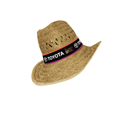 TCMF_Official giphyupload festival hat country music Sticker