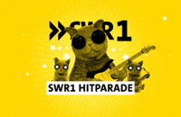 Baden-Württemberg Party GIF by SWR1