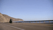 Pan America Bike GIF by Harley-Davidson