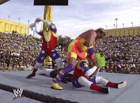 wrestlemania 9 wrestling GIF by WWE