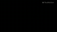 Animated Leafs