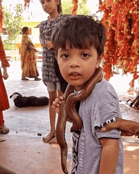 Naklihasi GIF