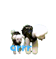 아르르 Sticker by arrr_official