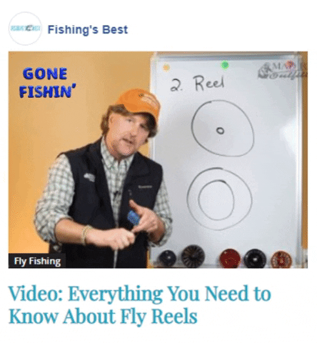 fishing facts GIF by Gifs Lab