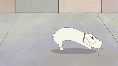 Dog GIF