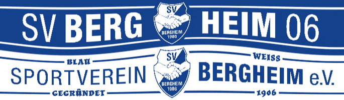 Fan Support GIF by SV Bergheim 1906