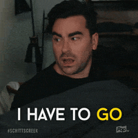 Pop Tv GIF by Schitt's Creek
