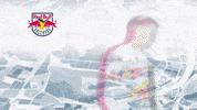 Ice Hockey GIF by EC Red Bull Salzburg