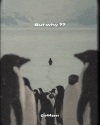 Penguin Motivation GIF