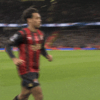 Premier League Hug GIF by AFC Bournemouth