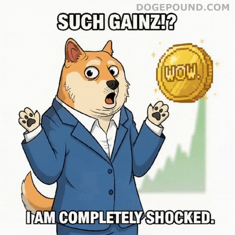 Shiba Inu Wow GIF by Doge Pound